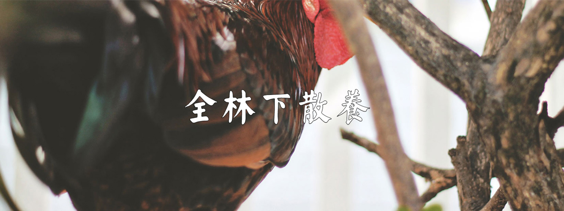 重慶明吉農産品配送有限公司