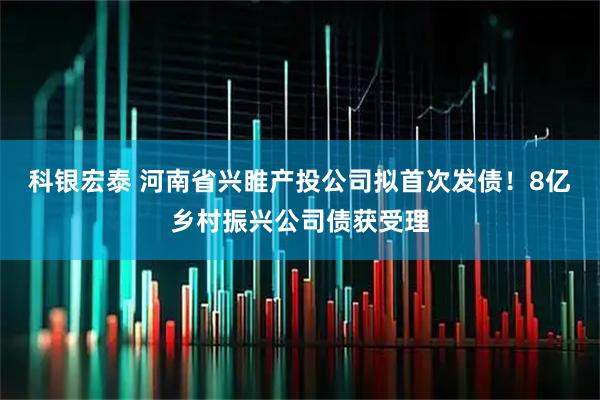 科银宏泰 河南省兴睢产投公司拟首次发债！8亿乡村振兴公司债获受理