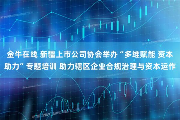 金牛在线 新疆上市公司协会举办“多维赋能 资本助力”专题培训 助力辖区企业合规治理与资本运作