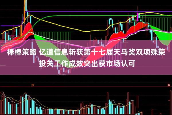 棒棒策略 亿道信息斩获第十七届天马奖双项殊荣 投关工作成效突出获市场认可