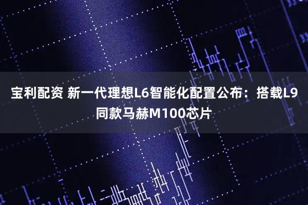 宝利配资 新一代理想L6智能化配置公布：搭载L9同款马赫M100芯片